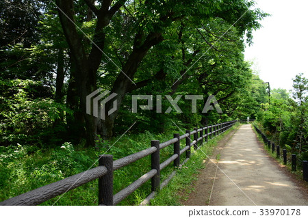 沿Takamaichi-Fujimigaoka附近的Tamagawa Josui Water的長廊 沿Takamaichi-Fujimigaoka附近的Tamagawa Josui Water的長廊 33970178