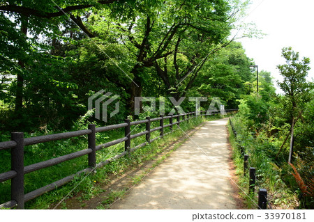 The promenade along Tamagawa Josui Water near Takamichi-Fujimigaoka 33970181