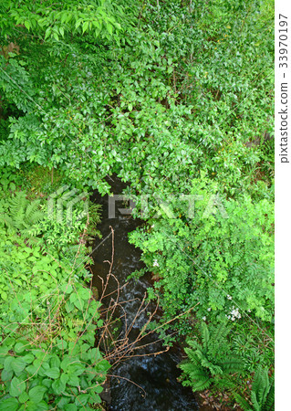 沿Takamaichi-Fujimigaoka附近的Tamagawa Josui Water的長廊 33970197