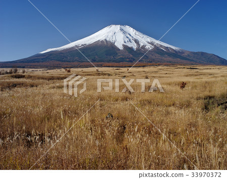 Fuji of the late autumn Pearligahara 33970372