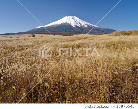 Fuji of the late autumn Pearligahara Fuji of the late autumn Pearligahara 33970543