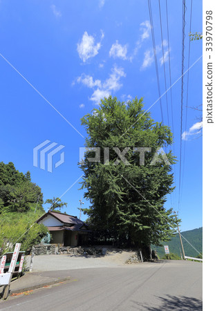 Kane Sugi (A place of Saemon Saburo, the Shikoku Reijo No. 12 No. Fudasho Bashoyamaji Temple extra place) 33970798