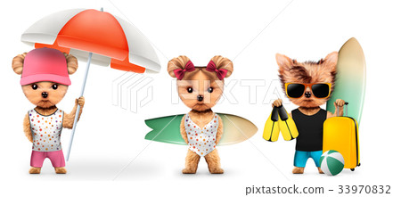 Animal in t-shirt and shorts holding umbrella 33970832