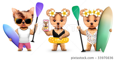 Animal wearing t-shirt and hold surf and paddle 33970836