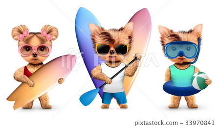 Animal wearing swimsuit and holding surf 33970841