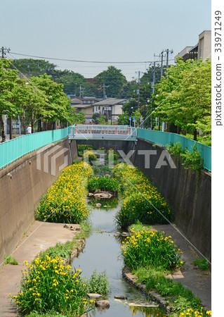 沿著Kanda River Takawell的木板路 - 靠近Fujimigaoka 33971249