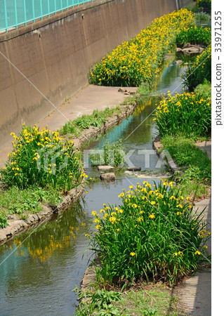 沿著Kanda River Takawell的木板路 - 靠近Fujimigaoka 33971255