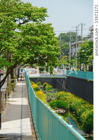 沿著Kanda River Takawell的木板路 - 靠近Fujimigaoka 沿著Kanda River Takawell的木板路 - 靠近Fujimigaoka 33971272