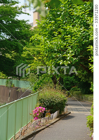 沿著Kanda River Takawell的木板路 - 靠近Fujimigaoka 沿著Kanda River Takawell的木板路 - 靠近Fujimigaoka 33971280