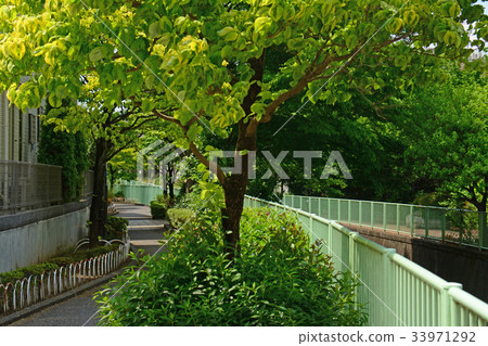 Boardwalk along Kanda River Takawell-near Fujimigaoka Boardwalk along Kanda River Takawell-near Fujimigaoka 33971292