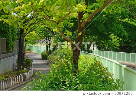 沿著Kanda River Takawell的木板路 - 靠近Fujimigaoka 33971293