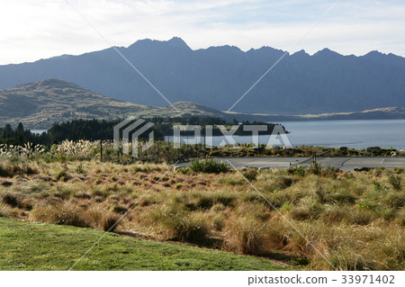 新西蘭金斯敦 33971402