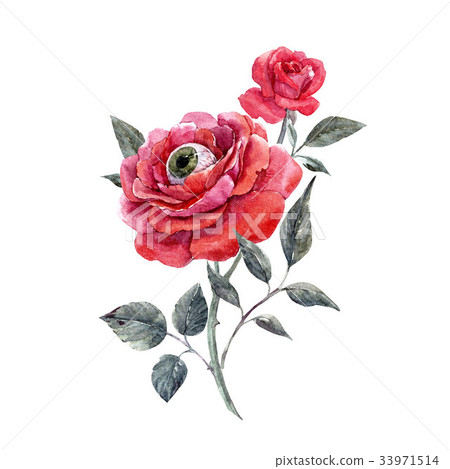 Watercolor halloween rose Watercolor halloween rose 33971514