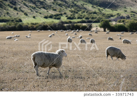 Kingstown, New Zealand Kingstown, New Zealand 33971743