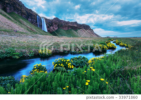 Sunrise on Seljalandfoss waterfall 33971860