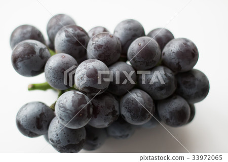 Grape Fujiboshi 33972065