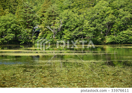 Water surface of early autumn of Kannonnuma 33976611