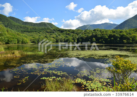 Sign of autumn in Kannonnuma Sign of autumn in Kannonnuma 33976614