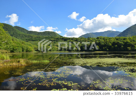 Kannonuma森林公園在初秋 33976615