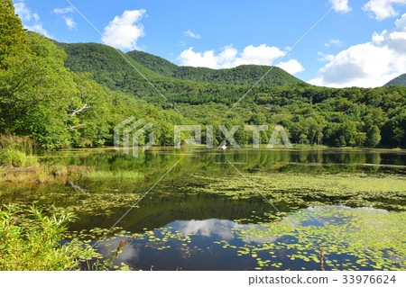 Autumn came to Kannonuma Autumn came to Kannonuma 33976624