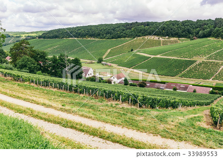 Grape lands in France 33989553