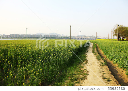 Hangang Park, Road 33989580