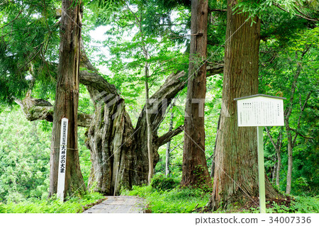 Oiizawa的Oikuri Yamagata縣 34007336