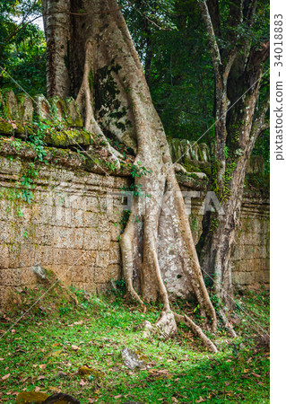 Preah Khan temple, Angkor area, Siem Reap Cambodia 34018883