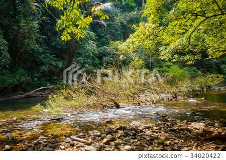 Khao Sok National Park in Surat Thani province 34020422