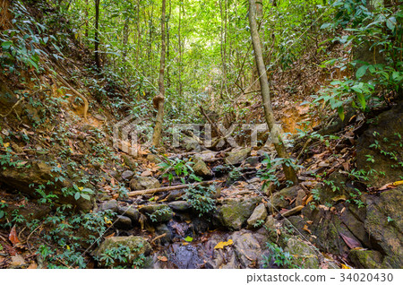 Khao Sok National Park in Surat Thani province 34020430