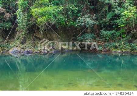 Khao Sok National Park in Surat Thani province 34020434