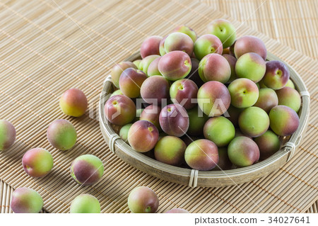 Koume紫色女王 34027641