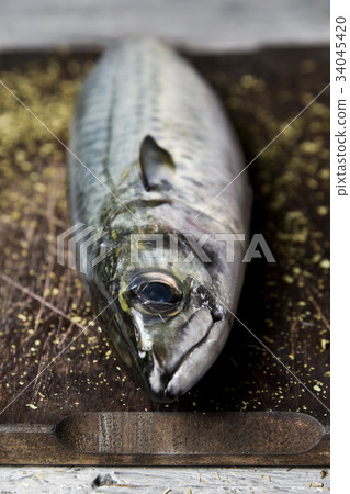 raw fresh mackerel 34045420
