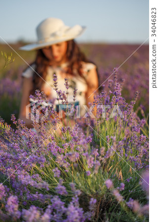 Romantic reading woman on lavender field Romantic reading woman on lavender field 34046823
