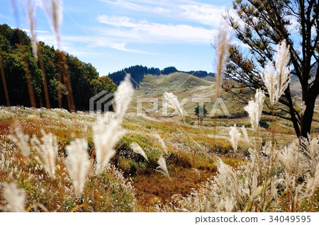 Plateau of Susuki 34049595