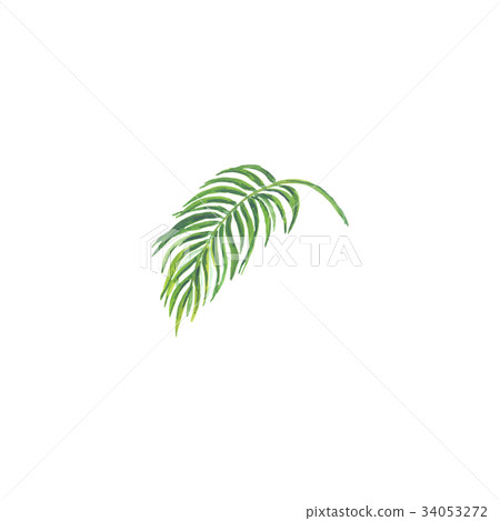 Bright watercolor leaf isolated on white 34053272