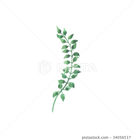 Bright watercolor leaf isolated on white Bright watercolor leaf isolated on white 34056517