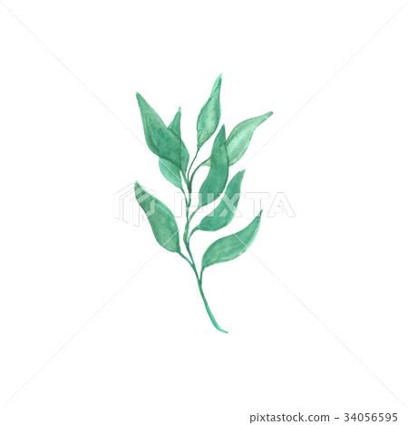 Bright watercolor leaf isolated on white Bright watercolor leaf isolated on white 34056595