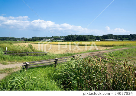 Rural landscape Rural landscape 34057824
