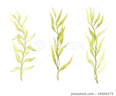 Bright watercolor leaf isolated on white Bright watercolor leaf isolated on white 34060273