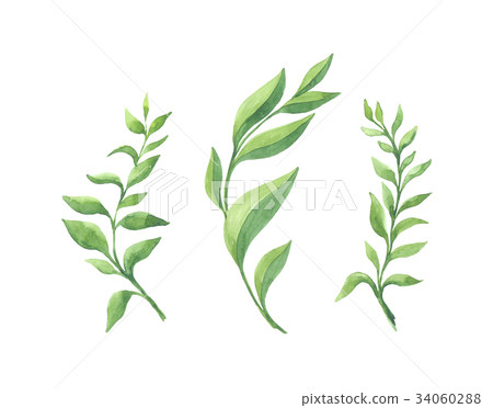 Bright watercolor leaf isolated on white Bright watercolor leaf isolated on white 34060288