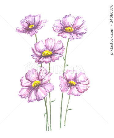 Bright watercolor flower with leaf isolated on Bright watercolor flower with leaf isolated on 34060376