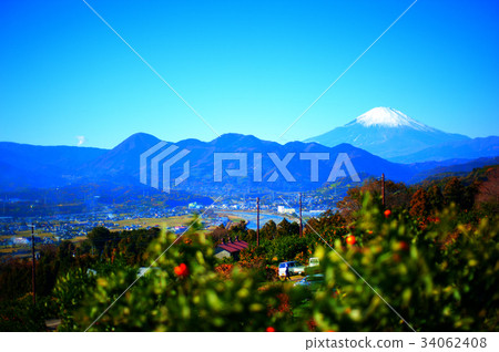 普通話蘭花和富士山 34062408