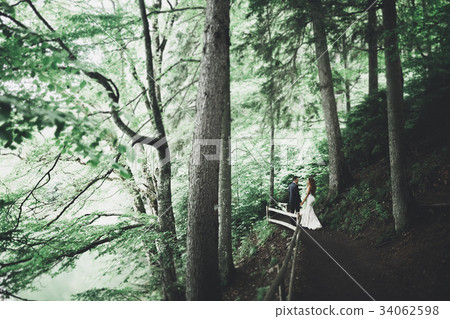 Romantic, fairytale, happy newlywed couple hugging Romantic, fairytale, happy newlywed couple hugging 34062598