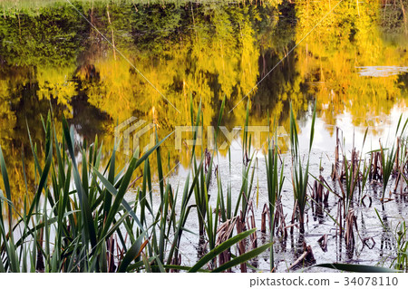 Bank of the river at sunset with reflections of Bank of the river at sunset with reflections of 34078110