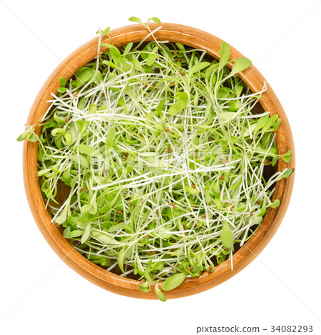 Alfalfa microgreens in wooden bowl over white Alfalfa microgreens in wooden bowl over white 34082293