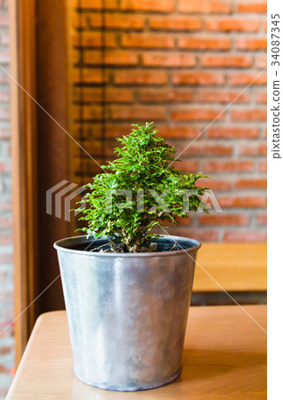 Plant in a pot on wooden table near window 34087345
