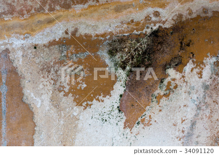 fresco in villa oplontis 34091120