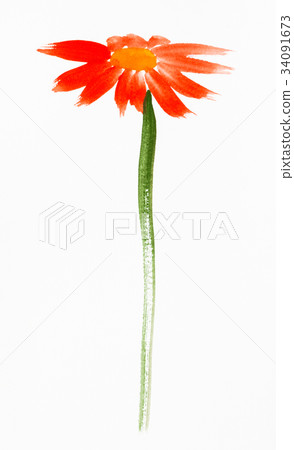 red gerbera flower hand painted on white paper 34091673