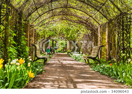 A beautiful arch of plants in Moscow A beautiful arch of plants in Moscow 34096043